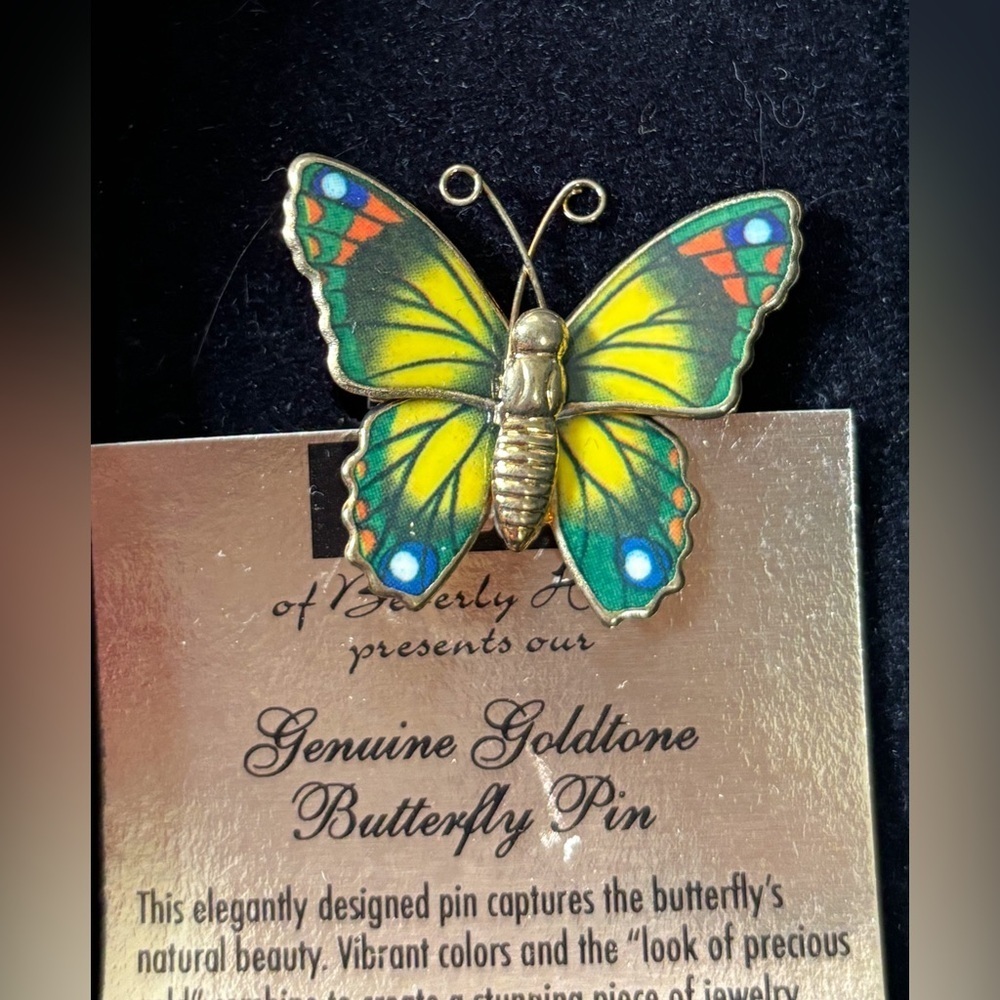 Vintage Butterfly Brooch Pin Fairy Grunge Boho Goblin Cottage Core Colorful